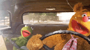 A gif of Kermit and Fozzie singing in a car.
